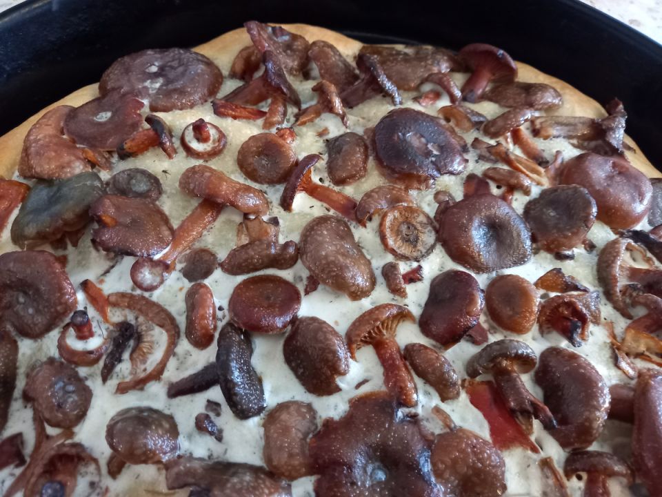 ������� ��������� �������: ������ ������� �� ����� ������