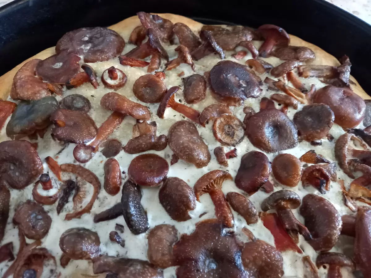 Секреты идеальных пирогов: почему начинки не стоит жалеть