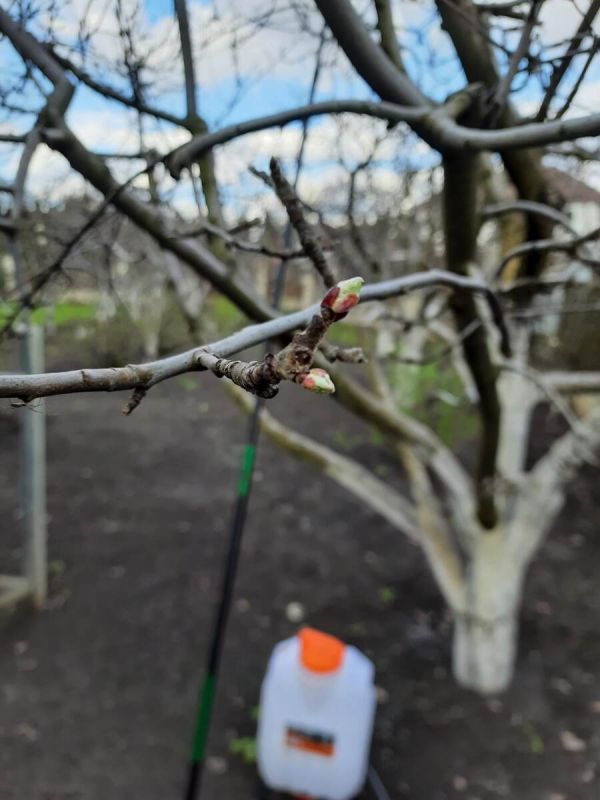 ��� �������� ������ � ����: �������� ������ � ������ ����������