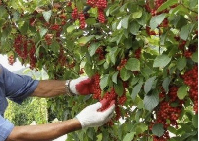 ��� � ��������� ���������: �� ����� �� ��������