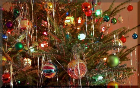 ��� �������� ����� ���������� ����: 8 �������� �������