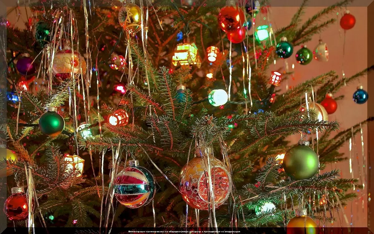 Как продлить жизнь новогодней елки: 8 полезных советов