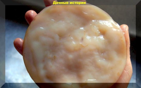 Уксусная матка и чайный гриб: неожиданные помощники в садоводстве