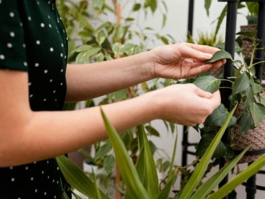 ������� ������������� ����: ��� ��� ������ �� �������� ��������� ��������?