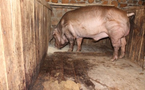 ��������� � ������: ��� �������� ���� ����� �� �������� ��������