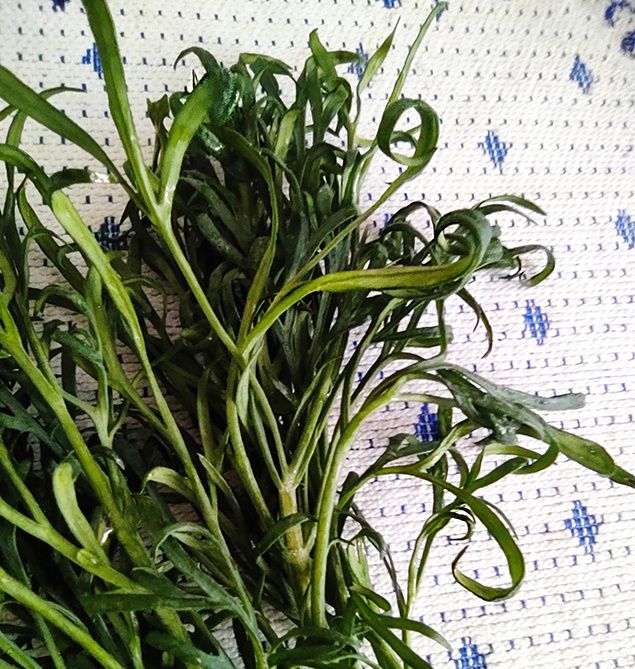 �����: ��� ������� ��������� ���� ��� ������ �������?