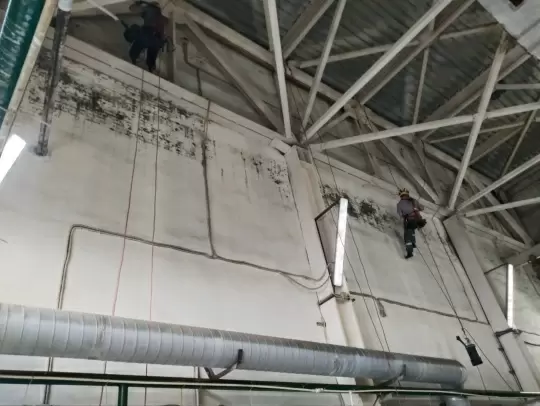 Эффективные методы борьбы с грибком на пищевых производствах: от удаления до покраски