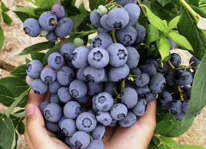 ���-5 �������� � ���������: �� ����������� ������� �� ������� ������