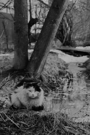 ������� ����� � ���������. ����: ��� ��������� ������������ �� ��� ����� � MAX