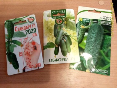 Огуречные новшества, которые стоит попробовать в новом сезоне