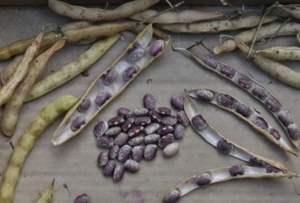 ������ �� ������ ������ ��� ��������������� ��������