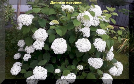 ���� ������� �� ����� �� ���������� ��� ������ ��������