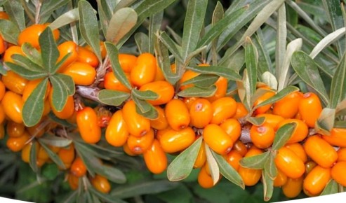 ��������: ��� ��������� ������� ����� � ��������� �� ��������� ��� �������� ������