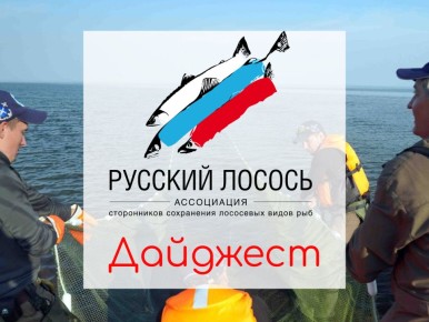 Обзор новостей Ассоциации «Русский Лосось»: достижения и новости с 22 февраля по 21 марта