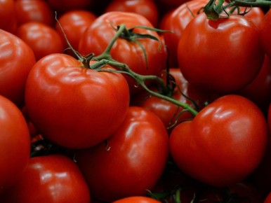 ���������� ��������: �� �������� � ������