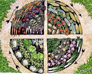 ���������� �� ��������� �������: ������� ��������� �������