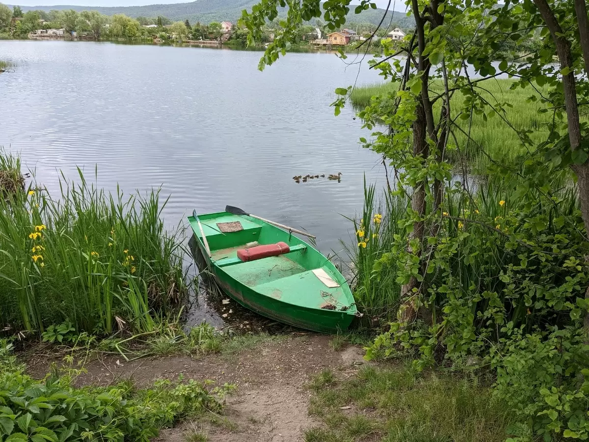 Сквозь зелень: тайны болотного ириса на берегу озера