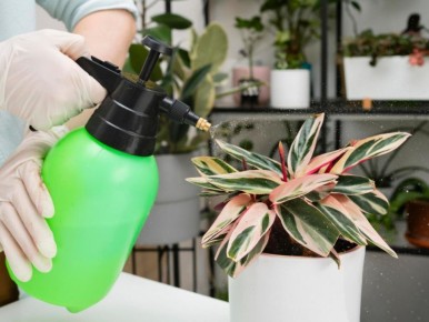 ������� ��������� ��� ������ ��������: ��� �������� �������� ��������� � ��������