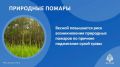 Весной возрастает риск природных пожаров