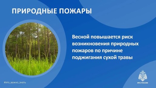 ������ ���������� ���� ��������� �������