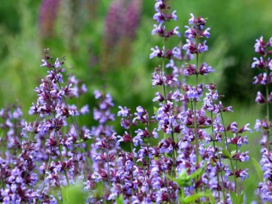 ������: ������ ������ �������� ��� �������� � ����