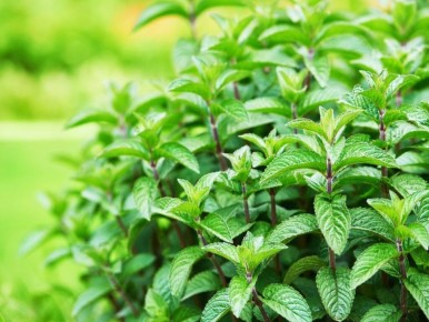 ����: �� ��� �� ���������� � ��� ��������� ����, ������� �������� ������ �������� � �������� �� ����������