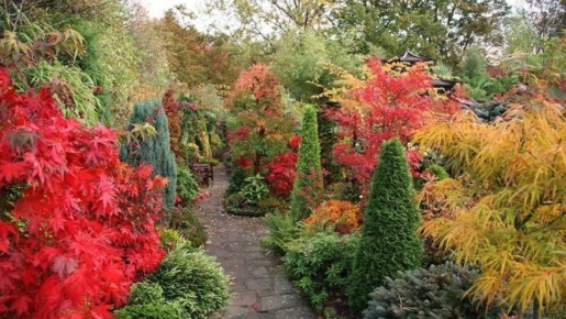 ������� ����������: ��� ������������ ���������� ��������� ��� ������ ��������