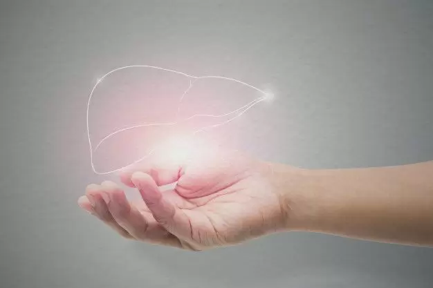 Как изменить свою жизнь, избавившись от вредных привычек для печени