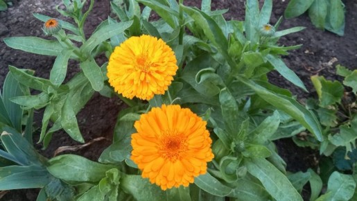 ��������� ����� ������: ������ � ������������