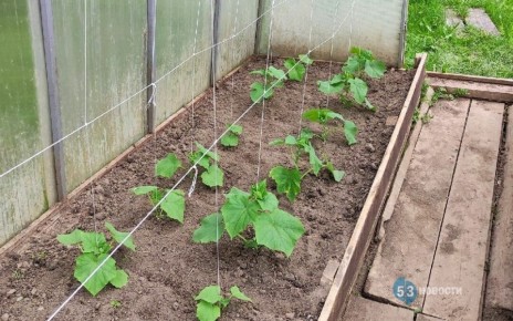 ������� ��������, ���� ��������� ��� ������������� ������