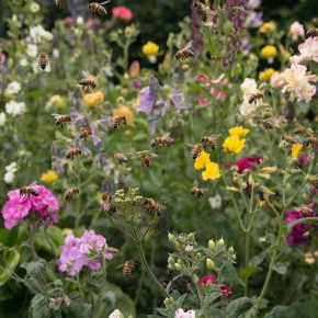 ��� �������� ��� �� ���������� � ��������� ��� �������