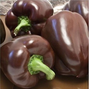 ����� ����������: ������������ ���� �������� ����� ��� ������ ����