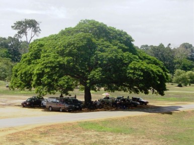 �������� ������, ������� �� ������ �� ��������: ������� �������