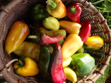 ��� ���������� � ��������� �������� �����: �������� ������ � ������� ��������� �� ����