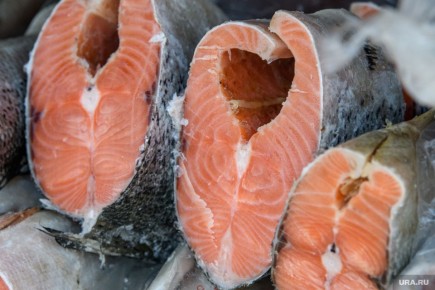 ������ ���� �� ������ �� ���������, �������� �� ����� ��������� �� �����?