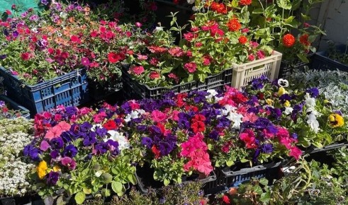 ��������� ����: ��� ������� � ��� ��� ����������� ��������