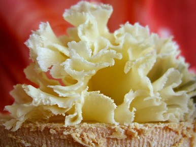 ������ ����������� ������ ������������ ���� ���� �� ����� �� �������� ����� ������ ����