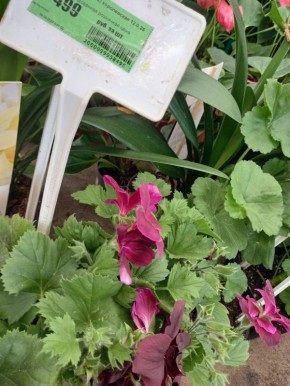 ������� ���������� ���: ��� ������ � ��������