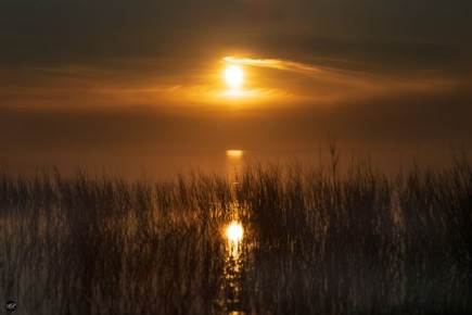 ��������� ����, ������������ �������!