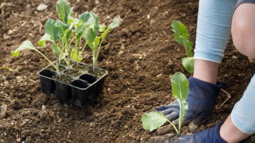 ��� �������� ������ ��� ����������� ������� ������� �������