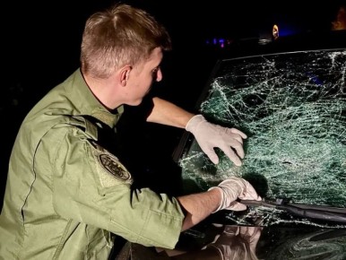 ������ �������� �������� ������� �������� ������� � ���������� � ������ ������� ������� 11,5 ���