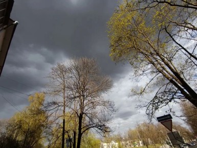 ���������� ������������ ���������������� �� ���� ������� ������������ �������