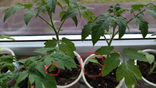 ��� ��������� ������������� �������: ���������� ���������� �� �������