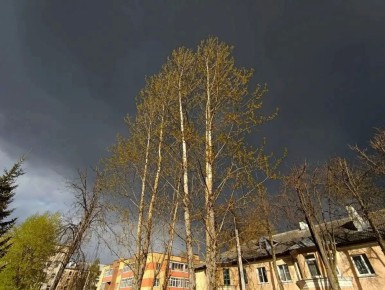 ��� ����� � ������������ ������� �������� ��� ����� 2 ����� ������� � 12 �������