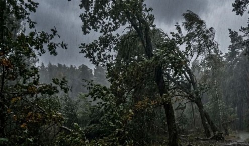 �� ������������� ������ �� ����������������� � ����������� ���������� ����� �������� �������������� � ��������������� �������� ������ �� ���������� ������������ �������: