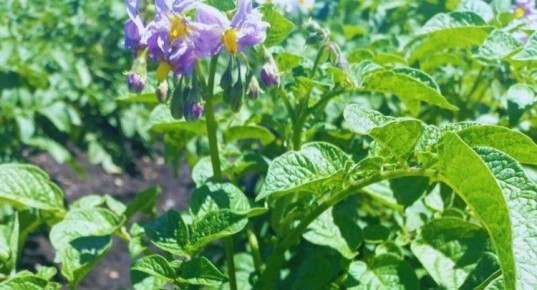 � ��������� ������ ��������� ��� ������, �� �������� ���� ���� ��� ������