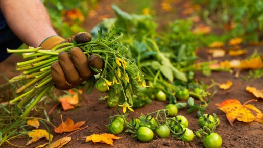 �������������� �������� ����� � ����������� ���������