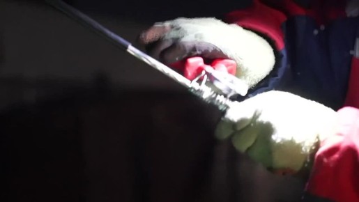 ����������� ���������� ������� �������� � ���� ���������� ����������� �������� � �������