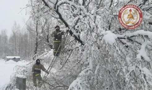 � ������������ ������� �� 75% ������������ ���������������� � ������������ �������