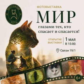 � ������� ��������� ��������� ��������� �������� � ����� � �� �����